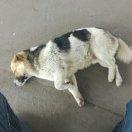 往事君的个人资料头像