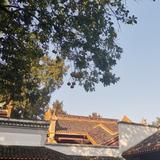 远见卓识晚风9l头像
