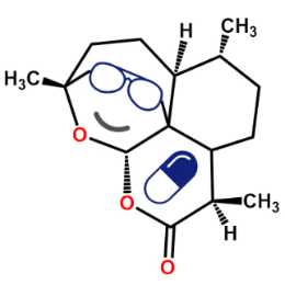 碳基生物木心头像