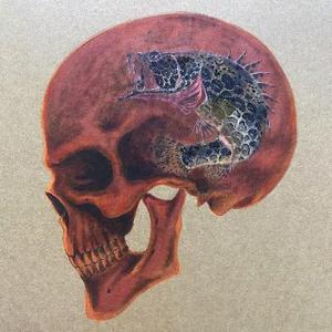 李先生路亚日记头像