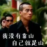 才高八斗星辰y87头像