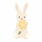 volimc的个人资料头像