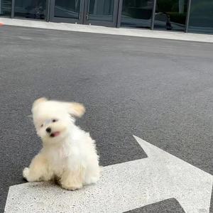 平凡日子里的光头像