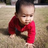 一笑而过的笑哥头像