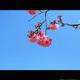 飞翔68936169头像