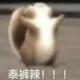 流年莫回首啊头像