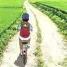 Jefferson270的个人资料头像