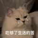 Pro426头像
