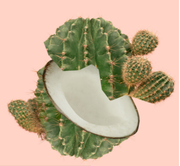 倪杠杠的个人资料头像