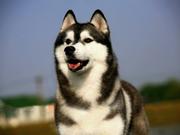 Yxp的个人资料头像