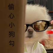 sugar的个人资料头像