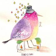 YClound的个人资料头像