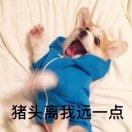 Seven时的个人资料头像