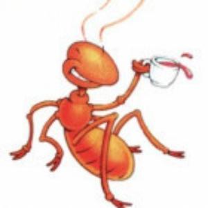 徕自重慶的蟲蟲头像