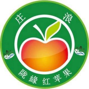 陇缘红苹果头像