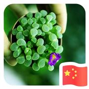 ort516的个人资料头像