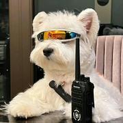 用户8516153174043的个人资料头像