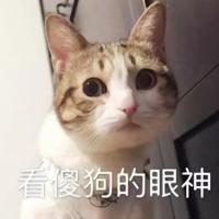 盗墓股东W头像