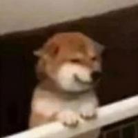 用户2317679411403头像