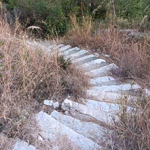 上进贝弗莉7a9头像