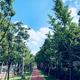 fukumasa头像