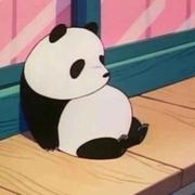 Mickey的个人资料头像