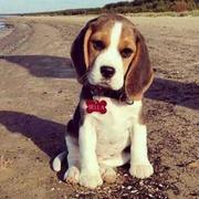 Cloudust的野爹的个人资料头像