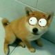 了哥董老头像