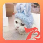 生活是这样子不如诗的个人资料头像