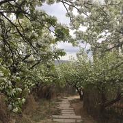 美好人生282的个人资料头像