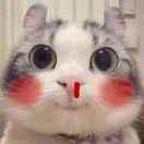 _tom的个人资料头像