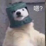 青禾Ov0头像