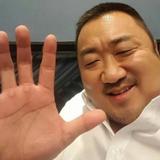 骑着兔子撵污龟头像
