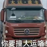 油老虎嘉年华头像