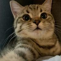 活泼枫叶wYn头像