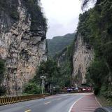 欢快葡萄Edw头像