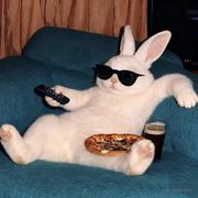 电商百事通的个人资料头像