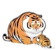 江南白衣的个人资料头像