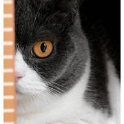 刘立杰的个人资料头像