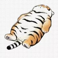 挖掘机8993头像
