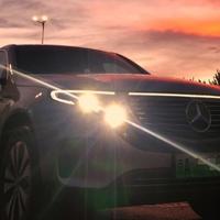 吃鱼儿的猫咪头像