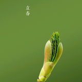 天天被二条忽攸头像