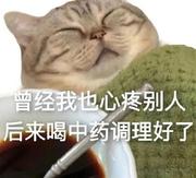 炮弹0731的个人资料头像