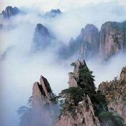 sky345的个人资料头像