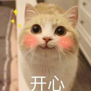 gogogo65的个人资料头像