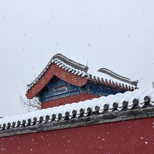 芸想四方头像