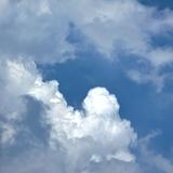 用户712687981063头像