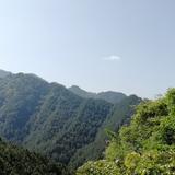明明白白开江头像