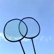 醪糟汤圆的个人资料头像