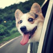 M_Events的个人资料头像